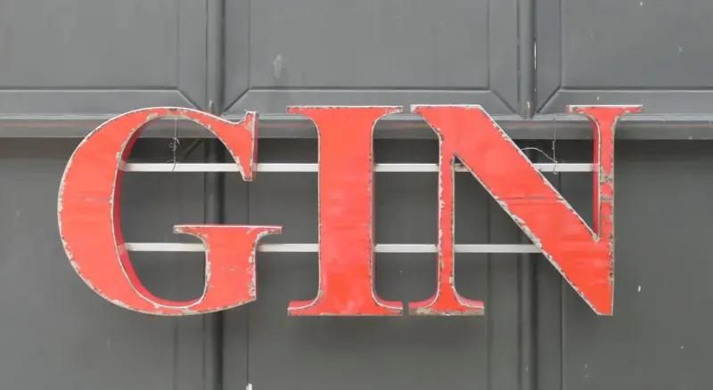 Product image 1 of the product “Capital Letters - GIN on metal frame Height about 50cm. open on the back side. red color letter. ”